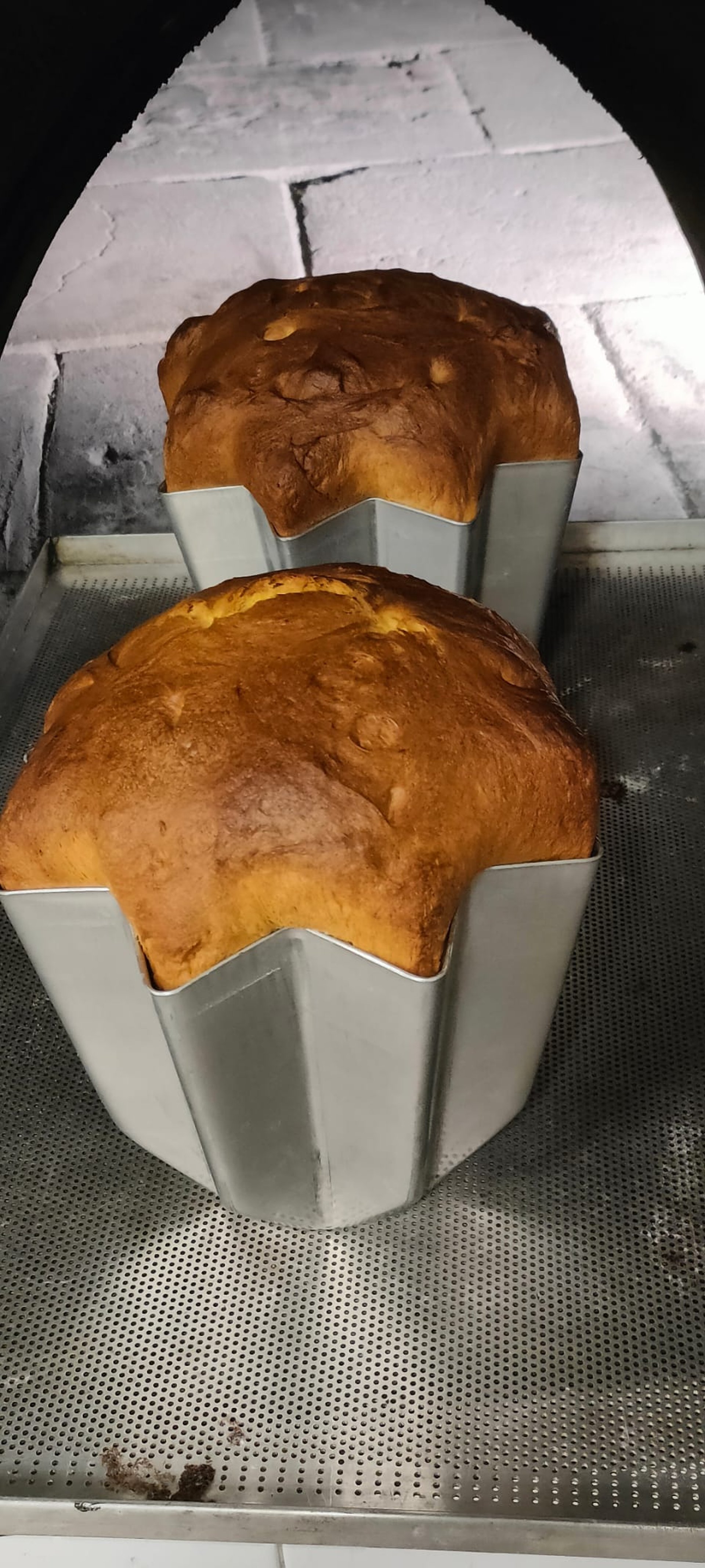 Panettone nel forno a legna La Micca
